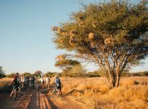 Cycle Namibia