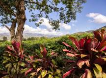 Costa Rica’s Coastal Secrets