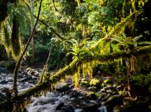 Costa Rica’s Coastal Secrets
