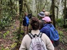 Costa Rica’s Coastal Secrets