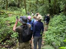 Costa Rica’s Coastal Secrets