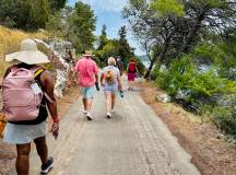 Dubrovnik & the Dalmatian Coast