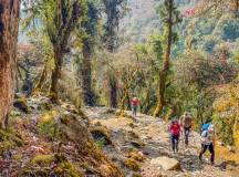 Annapurna Sanctuary Trek