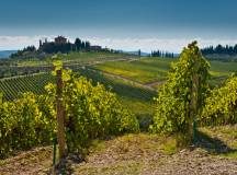 Secrets of San Gimignano Cycling