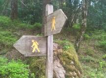 Walking the Kerry Way and Killarney National Park