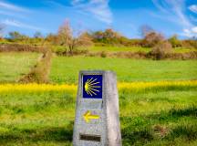 Highlights of the Camino de Santiago Walk