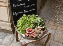 Dordogne River Walk