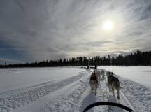 Arctic Circle Aurora Adventure