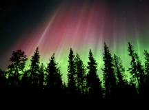 Arctic Circle Aurora Adventure