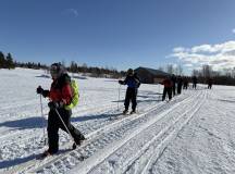 Arctic Circle Aurora Adventure