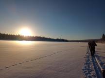 Dogsledding