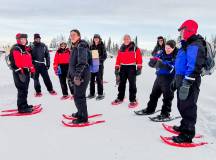 Dogsledding