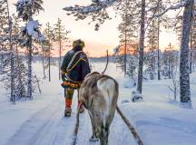 Dogsledding