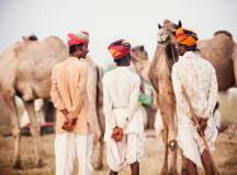 Cycling Through Rajasthan