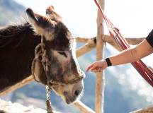 Amalfi Coast Family Adventure