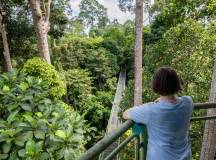 Borneo & the Malaysian Peninsula