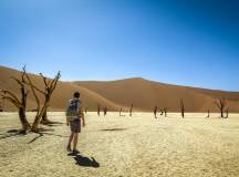 Botswana & Namibia: Delta & Dunes