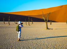 Botswana & Namibia: Delta & Dunes