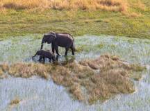 Botswana & Namibia: Delta & Dunes