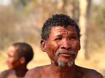 Namibia & Botswana: Dunes & Delta