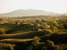 Walk The Prosecco Hills & Hidden Venice