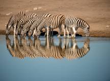 Namibia & Botswana: Dunes & Delta