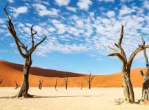 Namibia & Botswana: Dunes & Delta