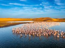 Botswana & Namibia: Delta & Dunes