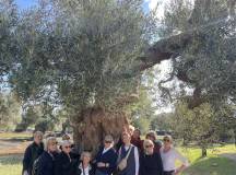 Puglia: Discover the Heel of Italy