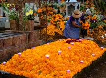 Mexico: Maya, Aztecs & Conquistadors Day of the Dead Festival (Oaxaca)
