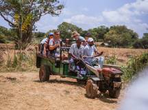 Sri Lankan Highlights