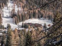 Cross-Country Skiing