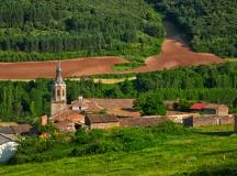 Vineyards of La Rioja Cycling