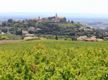 Cotes Du Ventoux Cycling