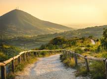 Venetian Villas and Vineyards Cycling