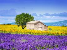 Hilltop Villages of Provence Cycling