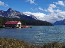 Canadian Rockies: Heli-Hike & Wilderness