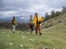 Italian Apennines: Walks & Wildlife