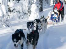 Finland Family Winter Adventure