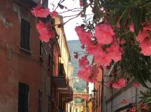 Walks of the Cinque Terre and Portofino