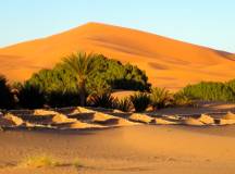 Highlights of Morocco – In Comfort