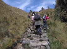 The Salkantay Trek