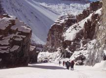 Search for Snow Leopards with Valerie Parkinson