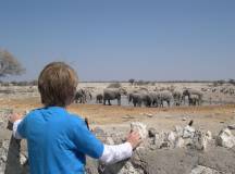 Kid looking at Elephants and waterhole, Etosha, Namibia