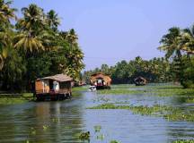 Kerala backwaters