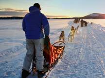 Dogsledding