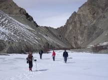 Search for Snow Leopards with Valerie Parkinson