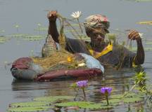 Discover Sri Lanka