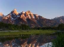 Yellowstone Walks & Wildlife