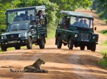 Walking Trails of Sri Lanka